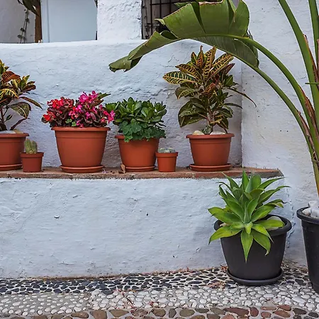 Cute Andalusian Townhouse With Terrace And Views.